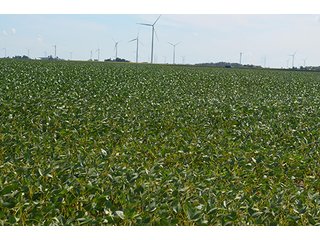 Property photo 1 - 233 +/- Acres Offered in 3 Tracts, Ohio Land Auction